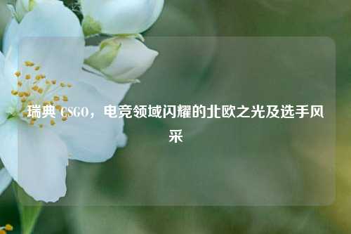 瑞典 CSGO,电竞领域闪耀的北欧之光及选手风采