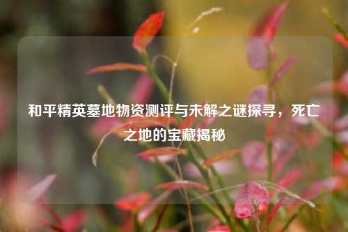 和平精英墓地物资测评与未解之谜探寻,死亡之地的宝藏揭秘
