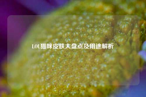 LOL猫咪皮肤大盘点及用途解析