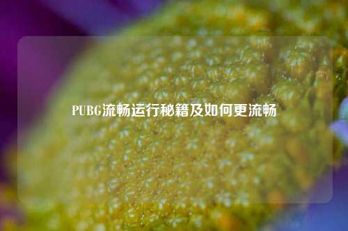 PUBG流畅运行秘籍及如何更流畅