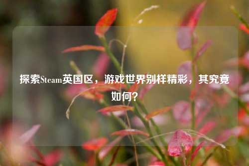 探索Steam英国区，游戏世界别样精彩，其究竟如何？
