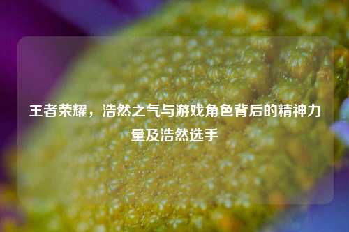 王者荣耀,浩然之气与游戏角色背后的精神力量及浩然选手