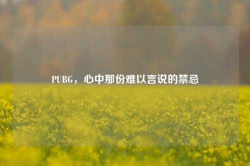 PUBG,心中那份难以言说的禁忌