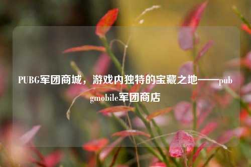 PUBG军团商城,游戏内独特的宝藏之地——pubgmobile军团商店
