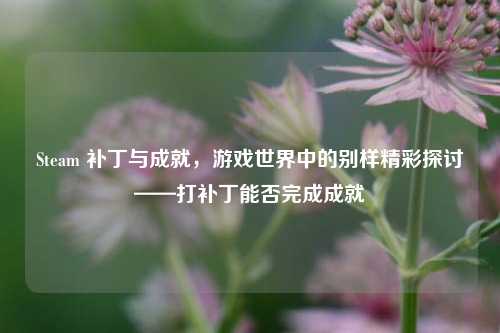 Steam 补丁与成就，游戏世界中的别样精彩探讨——打补丁能否完成成就
