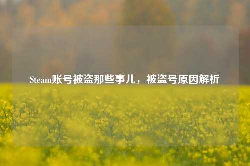 Steam账号被盗那些事儿,被盗号原因解析
