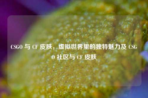 CSGO 与 CF 皮肤,虚拟世界里的独特魅力及 CSGO 社区与 CF 皮肤