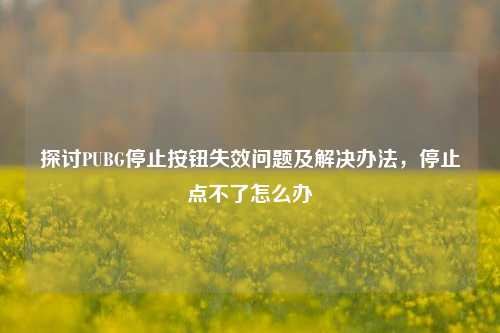 探讨PUBG停止按钮失效问题及解决办法，停止点不了怎么办