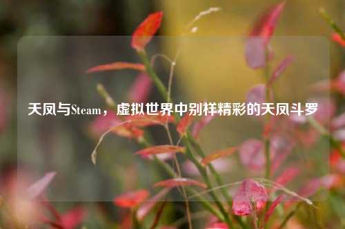 天凤与Steam，虚拟世界中别样精彩的天凤斗罗