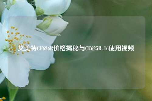 艾美特CF626R价格揭秘与CF625R-16使用视频