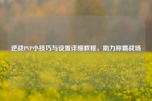 逆战PVP小技巧与设置详细教程,助力称霸战场