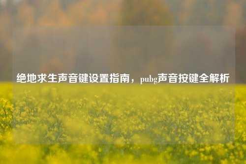 绝地求生声音键设置指南,pubg声音按键全解析