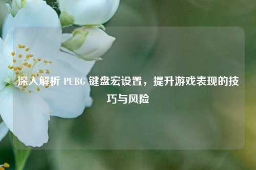 深入解析 PUBG 键盘宏设置，提升游戏表现的技巧与风险