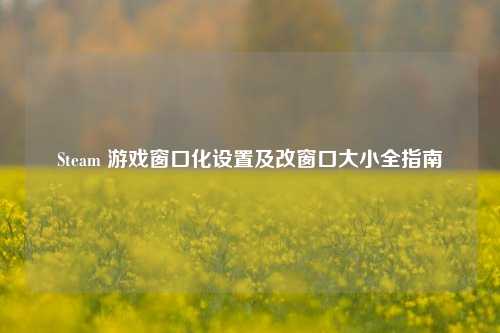 Steam 游戏窗口化设置及改窗口大小全指南