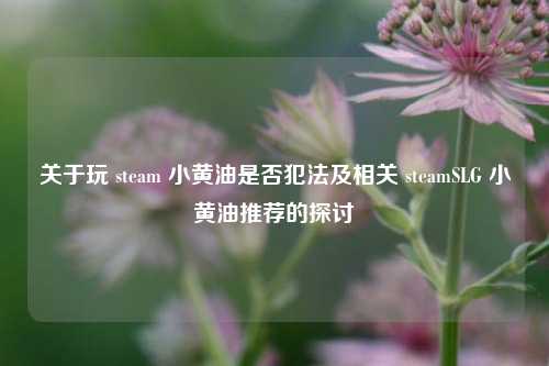 关于玩 steam 小黄油是否犯法及相关 steamSLG 小黄油推荐的探讨