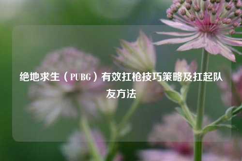 绝地求生(PUBG)有效扛枪技巧策略及扛起队友方法