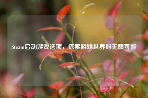 Steam启动游戏选项,探索游戏世界的无限可能