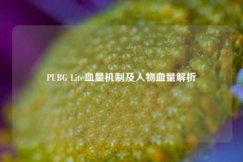 PUBG Lite血量机制及人物血量解析
