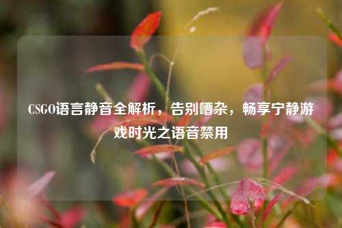 CSGO语言静音全解析,告别嘈杂,畅享宁静游戏时光之语音禁用