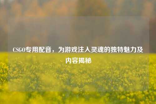 CSGO专用配音，为游戏注入灵魂的独特魅力及内容揭秘