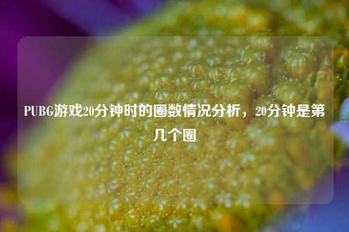 PUBG游戏20分钟时的圈数情况分析,20分钟是第几个圈