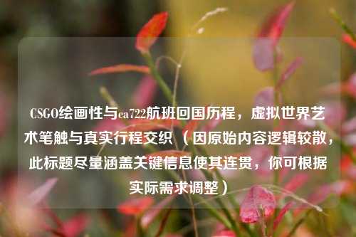 CSGO绘画性与ca722航班回国历程，虚拟世界艺术笔触与真实行程交织 （因原始内容逻辑较散，此标题尽量涵盖关键信息使其连贯，你可根据实际需求调整）