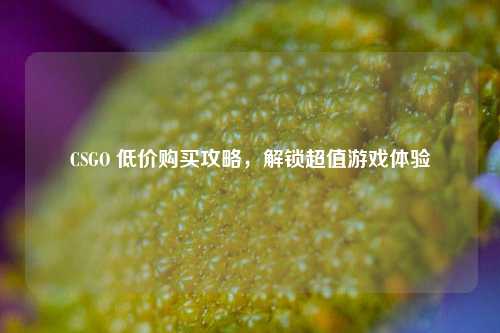CSGO 低价购买攻略,解锁超值游戏体验