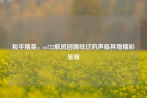 和平精英，ca722航班回国经过的声临其境精彩呈现