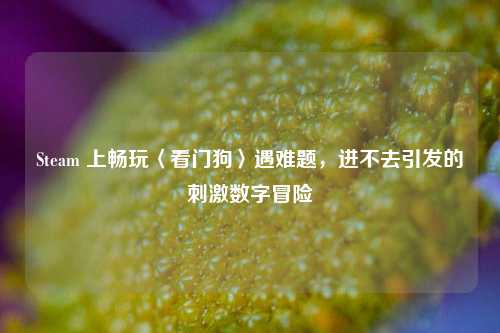 Steam 上畅玩〈看门狗〉遇难题，进不去引发的刺激数字冒险