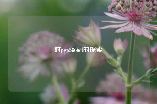 对pgp5866cf的探索