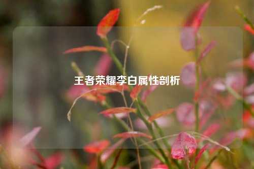王者荣耀李白属性剖析