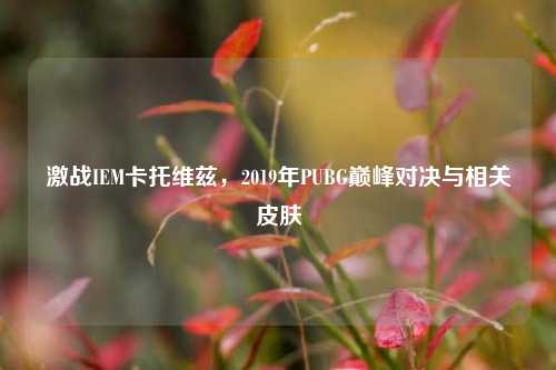 激战IEM卡托维兹，2019年PUBG巅峰对决与相关皮肤