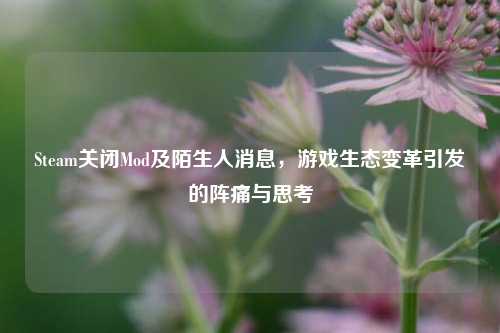 Steam关闭Mod及陌生人消息，游戏生态变革引发的阵痛与思考