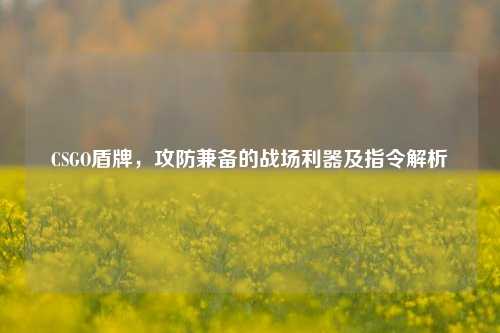 CSGO盾牌，攻防兼备的战场利器及指令解析