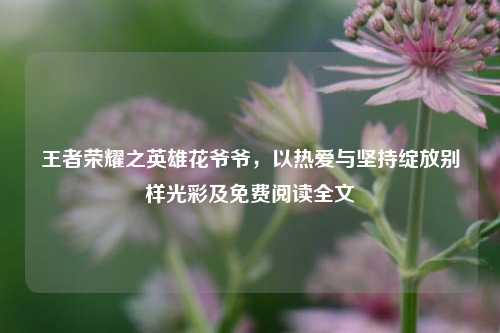王者荣耀之英雄花爷爷，以热爱与坚持绽放别样光彩及免费阅读全文