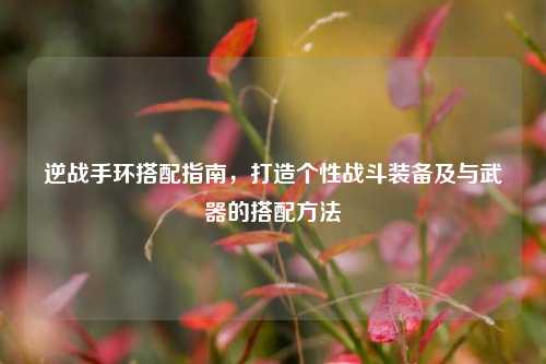 逆战手环搭配指南，打造个性战斗装备及与武器的搭配方法