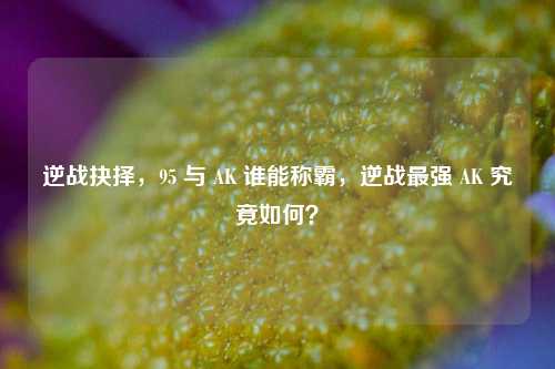 逆战抉择,95 与 AK 谁能称霸,逆战最强 AK 究竟如何?
