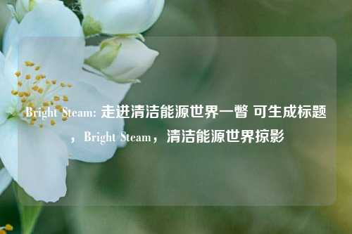 Bright Steam: 走进清洁能源世界一瞥 可生成标题，Bright Steam，清洁能源世界掠影