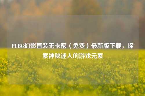 PUBG幻影直装无卡密（免费）最新版下载，探索神秘迷人的游戏元素