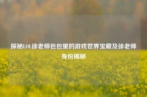 探秘LOL徐老师包包里的游戏世界宝藏及徐老师身份揭秘