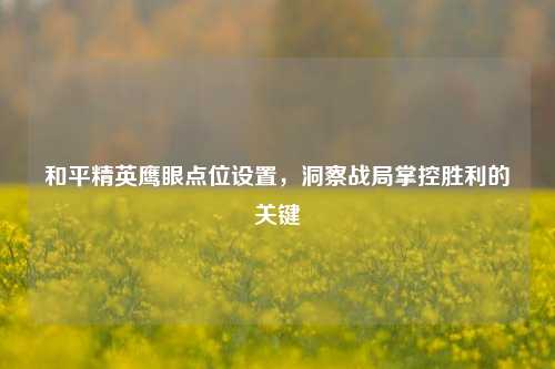 和平精英鹰眼点位设置，洞察战局掌控胜利的关键