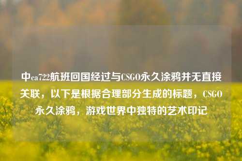 中ca722航班回国经过与CSGO永久涂鸦并无直接关联,以下是根据合理部分生成的标题,CSGO永久涂鸦,游戏世界中独特的艺术印记