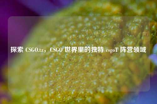 探索 CSGO.tz，CSGO 世界里的独特 csgoT 阵营领域