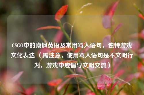 CSGO中的嘲讽英语及常用骂人语句，独特游戏文化表达 （需注意，使用骂人语句是不文明行为，游戏中应倡导文明交流）