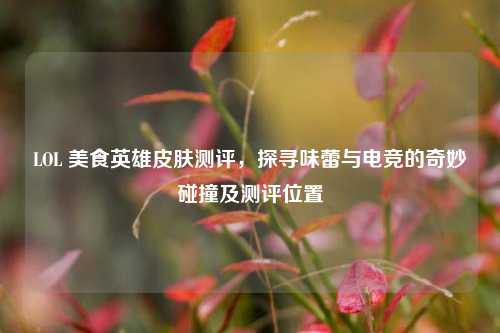 LOL 美食英雄皮肤测评,探寻味蕾与电竞的奇妙碰撞及测评位置