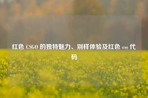 红色 CSGO 的独特魅力、别样体验及红色 css 代码