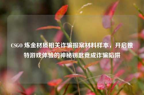 CSGO 炼金材质相关诈骗报案材料样本，开启独特游戏体验的神秘钥匙竟成诈骗陷阱