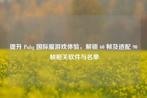 提升 Pubg 国际服游戏体验,解锁 60 帧及适配 90 帧相关软件与名单