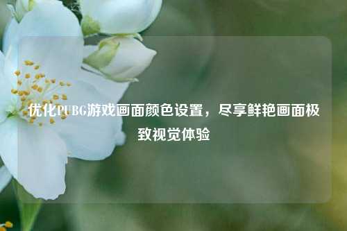 优化PUBG游戏画面颜色设置,尽享鲜艳画面极致视觉体验