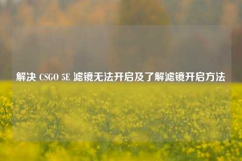解决 CSGO 5E 滤镜无法开启及了解滤镜开启方法